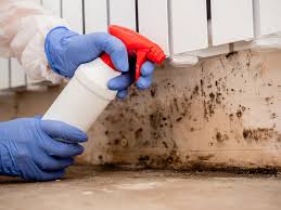 Best Mold Removal for HVAC Installations in Gratton, VA